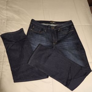 Lee's Regular Fit Mid Rise Jean